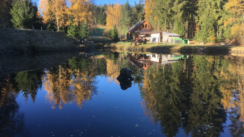 Teich 4 mit Blick auf die Zuchthalle