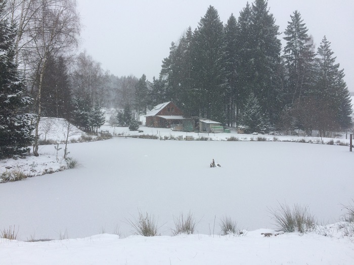 Winter 2019/20 
Waldviertler Krebszucht